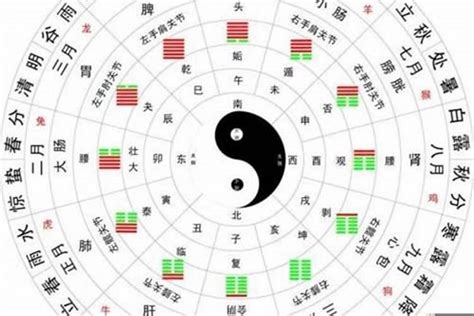 免費算五行喜用神|八字喜用神在线查询器,五行喜什么查询免费